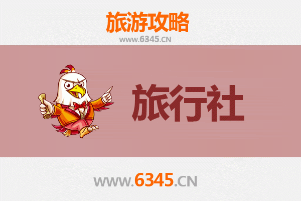 周口淮阳旅游全攻略：本地旅行社推荐及深度游玩指南