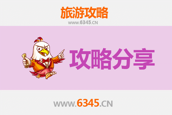 周口淮阳旅游攻略：跟团与自由行深度对比