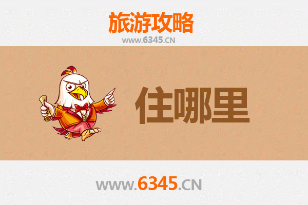 周口淮阳旅游住宿全攻略：舒适下榻与深度体验指南